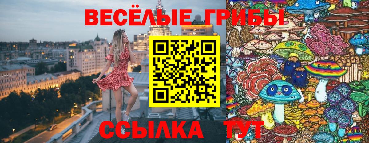 Галлюциногенные грибы GOLDEN TEACHER  Вход с VPN  сколько стоит  Электрогорск  Псилоцибиновые грибы MAGIC MUSHROOMS 