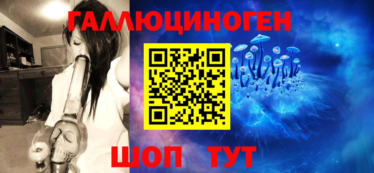 Галлюциногенные грибы Psilocybe Электрогорск